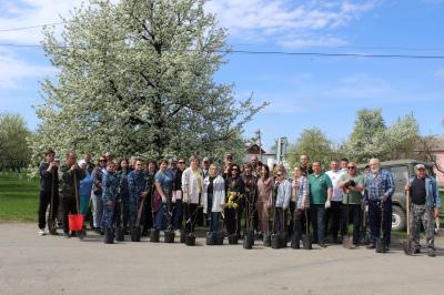 ПАО «РЭСК» приняло участие в обновлении исторического яблоневого сада в посёлке Милославское